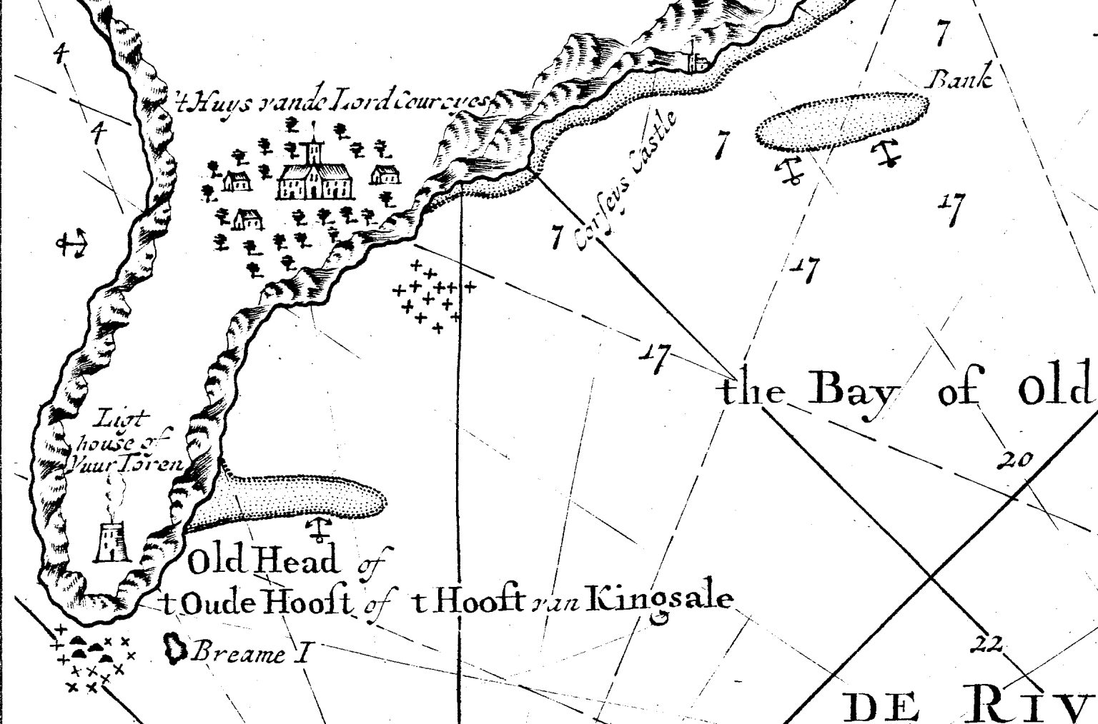 Detail of trees on the old Head of Kinsale peninsula – # ...