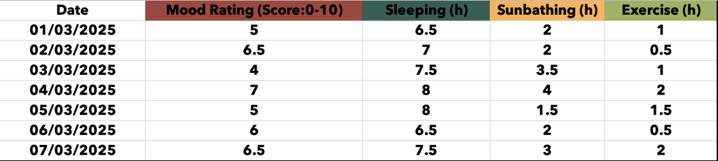 Screenshot of spreadsheet used to record daily mood rating (scale 1-10), hours slept, hours spent in the sun, and hours spent exercising.